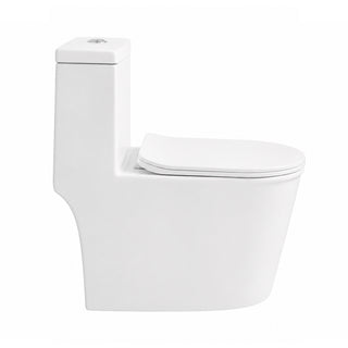 Sanitario WC One Piece Petros - Descarga a Piso (Vertical)