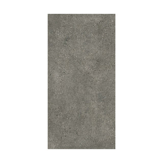 Gres - T-Stone Ash 30x60 Rectificado